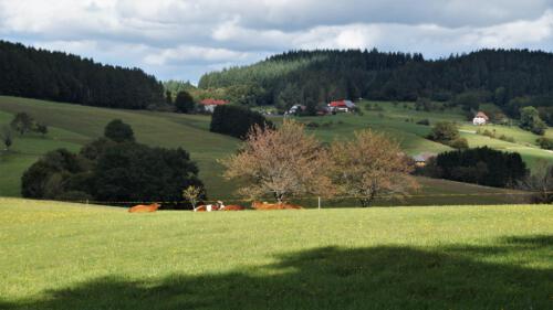 65 V. Schillinger Berg nach Höhenhäuser, 03.10.19